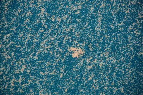 Метастазы Мексиканского залива. Часть 10-2