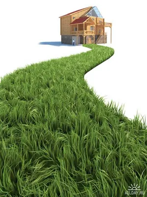 Проблемы и тенденции развития Зеленых Поселений