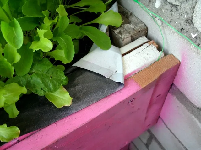 Грядка на балконе. Грядка на балконе.