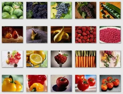 Конференция по сыроедению Сыро-единение 2011