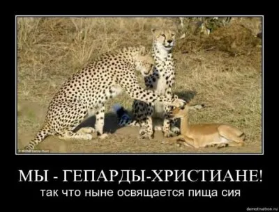 Славянские Демотиваторы Часть 14