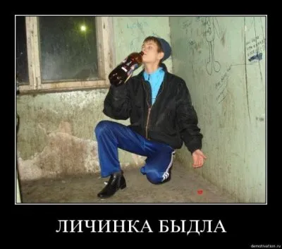 Славянские Демотиваторы Часть 14