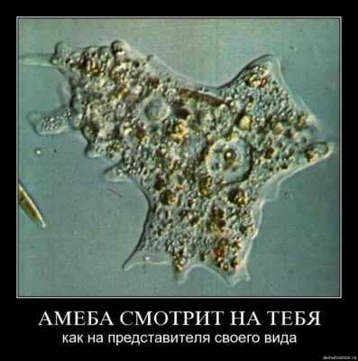 Славянские Демотиваторы Часть 14