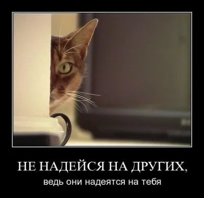 Славянские Демотиваторы Часть 14