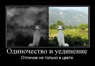 Славянские Демотиваторы Часть 15