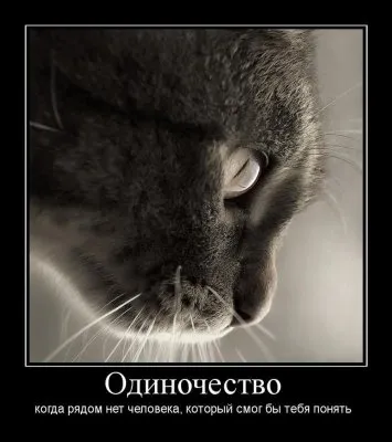 Славянские Демотиваторы Часть 15