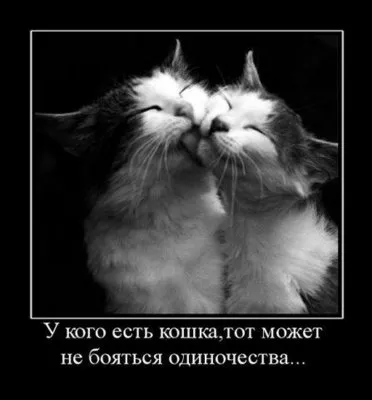 Славянские Демотиваторы Часть 15