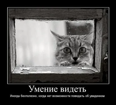 Славянские Демотиваторы Часть 15