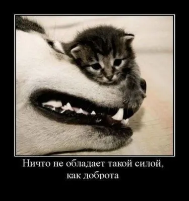 Славянские Демотиваторы Часть 15