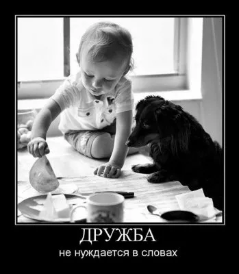 Славянские Демотиваторы Часть 15
