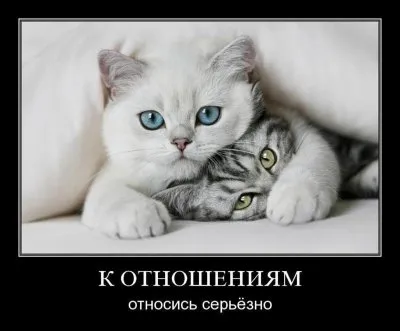Славянские Демотиваторы Часть 16