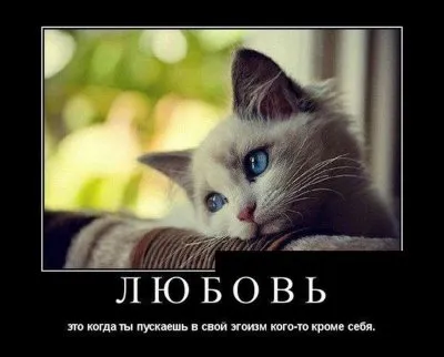 Славянские Демотиваторы Часть 16