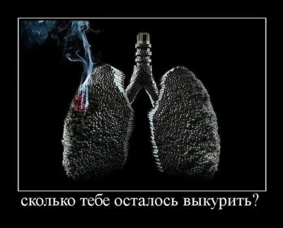 Славянские Демотиваторы Часть 16