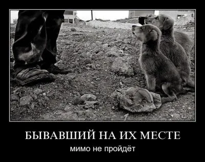 Славянские Демотиваторы Часть 16