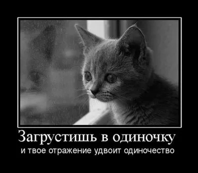 Славянские Демотиваторы Часть 16