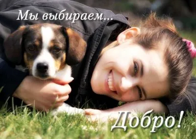 Пропаганда левашовцев