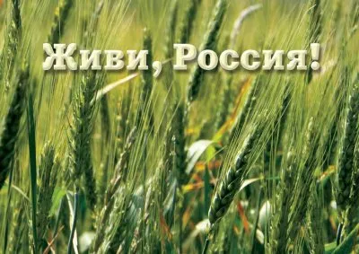 Пропаганда левашовцев