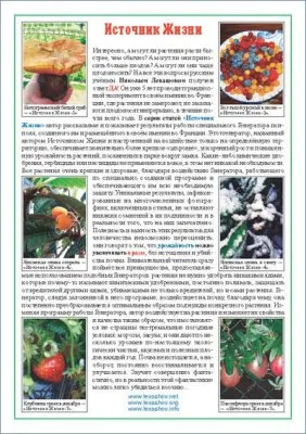 Пропаганда левашовцев