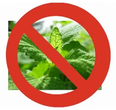 До 30 апреля еще можно остановить ЗАПРЕТ!!! НА ЛЕКАРСТВЕННЫЕ РАСТЕНИЯ В ЕВРОПЕ!