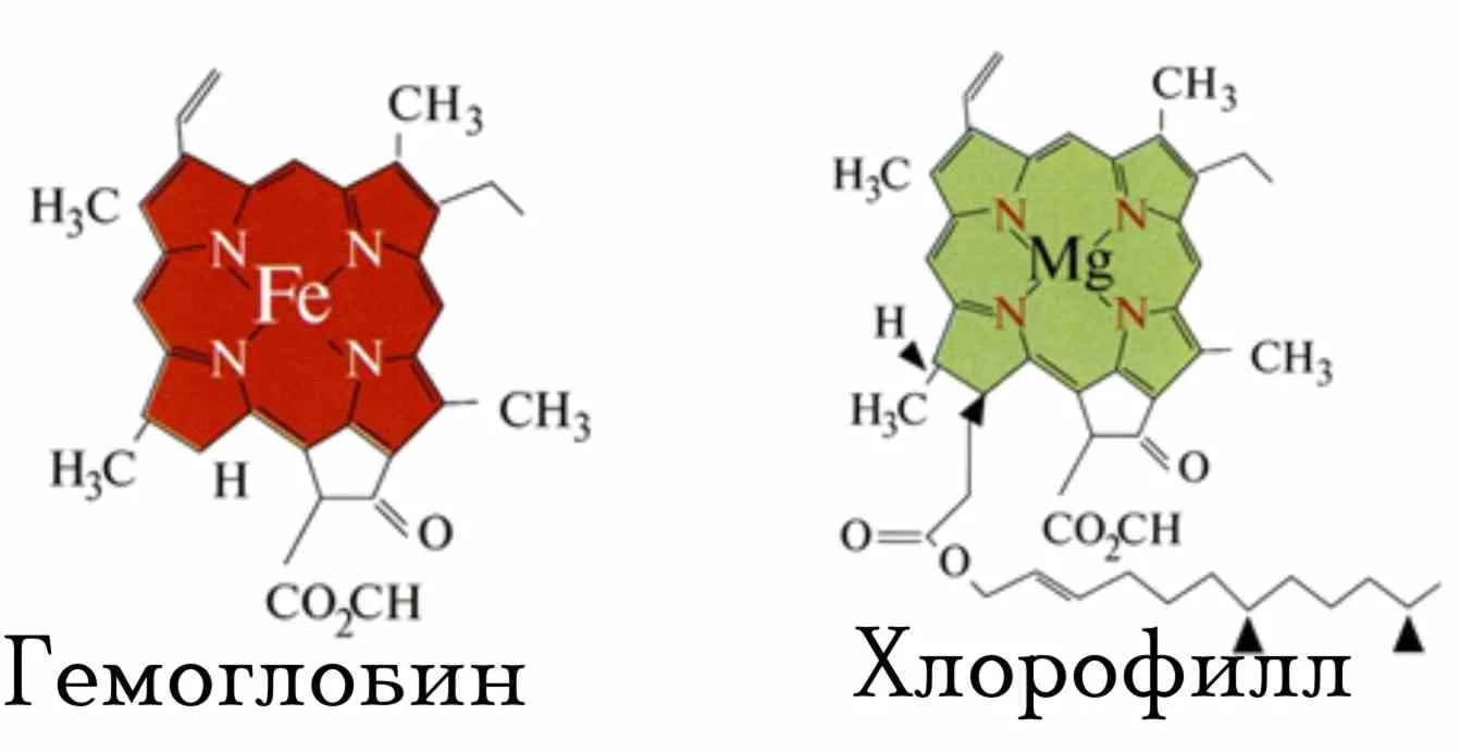 СОКРОВИЩЕ 2012 СОКРОВИЩЕ 2012