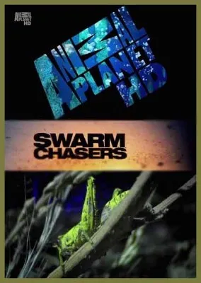 Animal Planet: В погоне за стаей. Саранча / Swarm Chasers Locusts (2011) HDTVRip