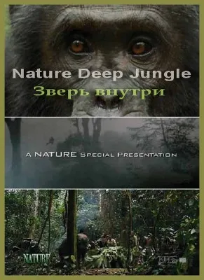 Глубоко в джунглях. Зверь внутри / Deep Jungle. The Beast Within (2005) HDTVRip