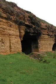 Загадочный Зверь из подземных катакомб Кобякова городища