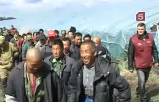 Крестьяне из российских колхозов по русски не понимают