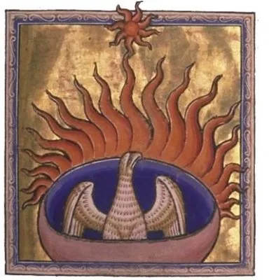 Диагноз - скорая смерть (нервным не читать!)