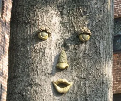 Приглашаем на семинар Основы культурной жизни в условиях дикой природы