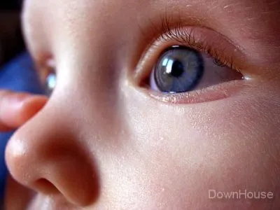 В России хотят легализовать международное похищение детей 2 !