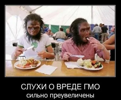 Славянские Демотиваторы Часть 17