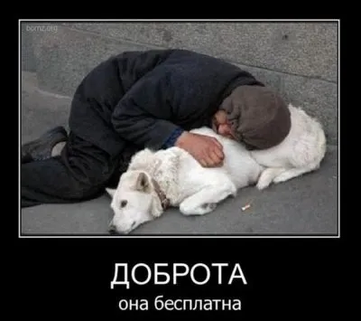 Славянские Демотиваторы Часть 17