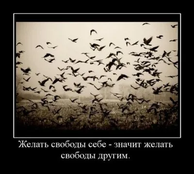 Славянские Демотиваторы Часть 17