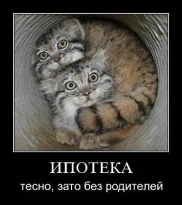 Славянские Демотиваторы Часть 17