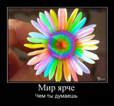 Славянские Демотиваторы Часть 17