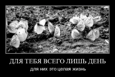 Славянские Демотиваторы Часть 17