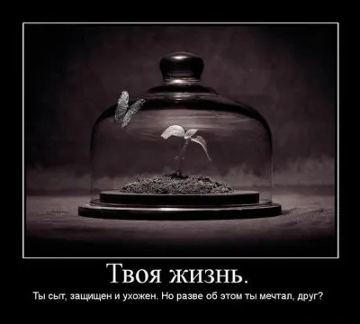 Славянские Демотиваторы Часть 17