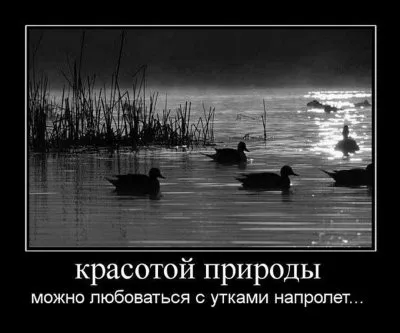 Славянские Демотиваторы Часть 17