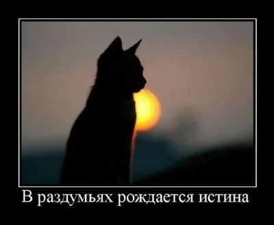 Славянские Демотиваторы Часть 17