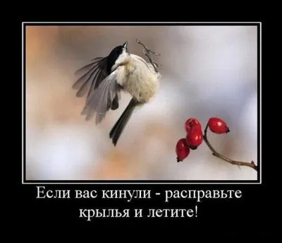 Славянские Демотиваторы Часть 17
