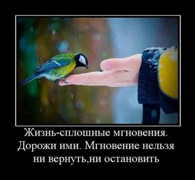 Славянские Демотиваторы Часть 17