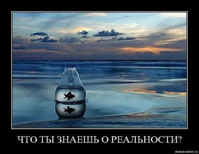 Кто мы: Опыт трансперсонального восприятия