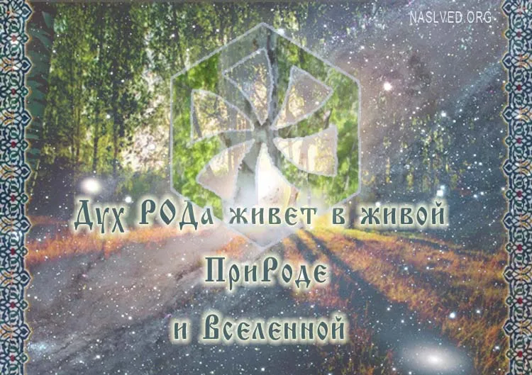 Природолюбие. Лес- это Храм. Живые Веды Земли