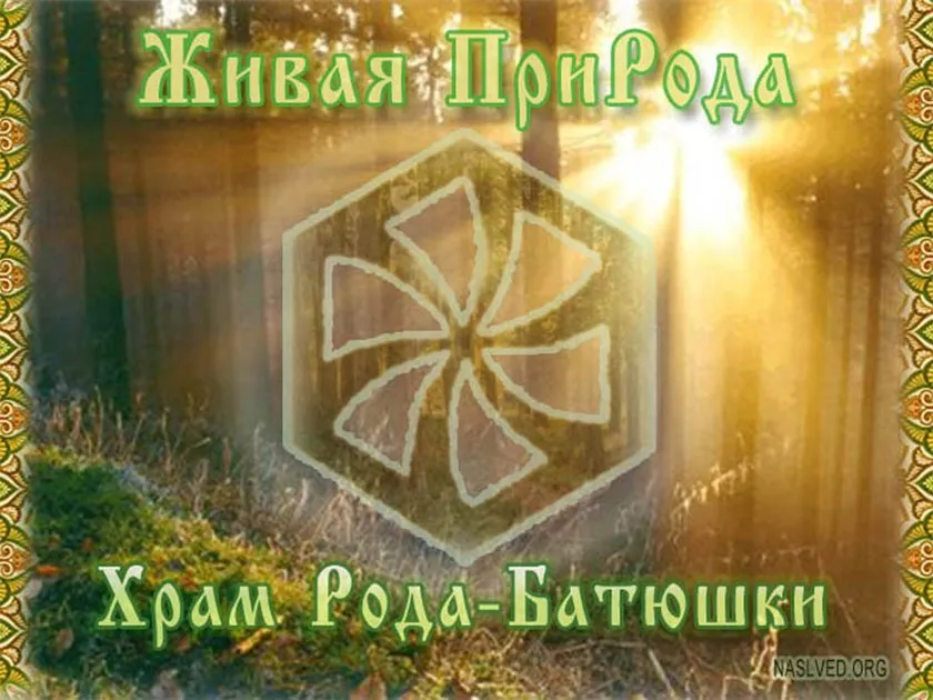 Природолюбие. Лес- это Храм. Живые Веды Земли Природолюбие. Лес- это Храм. Живые Веды Земли