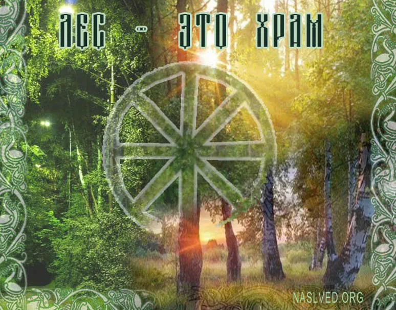 Природолюбие. Лес- это Храм. Живые Веды Земли Природолюбие. Лес- это Храм. Живые Веды Земли