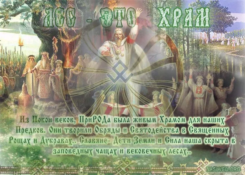 Природолюбие. Лес- это Храм. Живые Веды Земли Природолюбие. Лес- это Храм. Живые Веды Земли