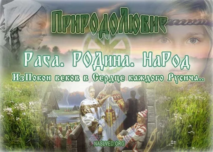 Природолюбие. Лес- это Храм. Живые Веды Земли Природолюбие. Лес- это Храм. Живые Веды Земли