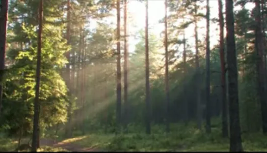 Сила Сердца. Владимир Антонов. Ключи к тайнам бытия.