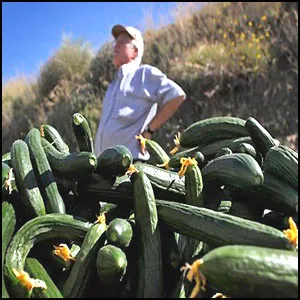 Шантаж – орудие современной политики